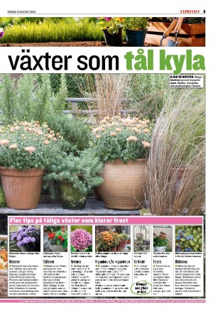 kvallsposten_sport-20230820_000_00_00_009.pdf