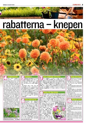 kvallsposten_sport-20230827_000_00_00_009.pdf