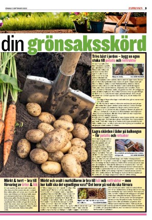 kvallsposten_sport-20230903_000_00_00_009.pdf