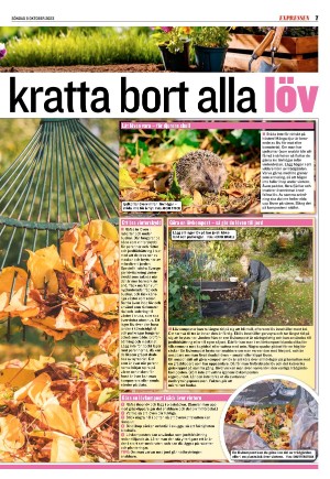 kvallsposten_sport-20231008_000_00_00_007.pdf