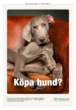 kvallsposten_sport-20240103_000_00_00_021.pdf
