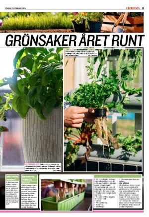 kvallsposten_sport-20240225_000_00_00_011.pdf