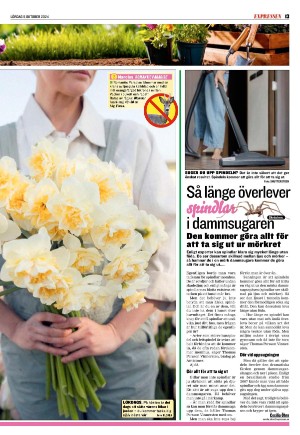 kvallsposten_sport-20241005_000_00_00_013.pdf
