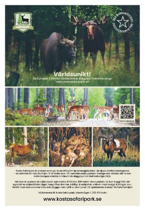 kvallsposten_sport-20250627_000_00_00_009.pdf
