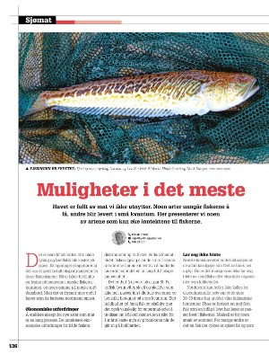 kystmagasinet-20220823_006_00_00_136.pdf
