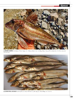kystmagasinet-20220823_006_00_00_139.pdf
