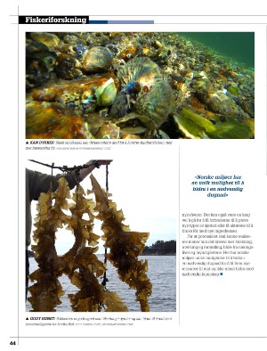 kystmagasinet-20220930_007_00_00_044.pdf
