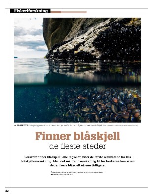 kystmagasinet-20221206_009_00_00_042.pdf