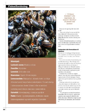 kystmagasinet-20221206_009_00_00_044.pdf
