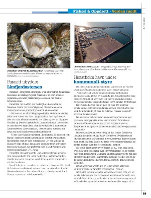 kystmagasinet-20221219_010_00_00_069.pdf