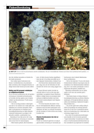 kystmagasinet-20230328_002_00_00_086.pdf
