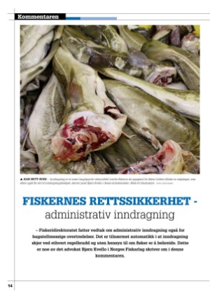 kystmagasinet-20230526_004_00_00_014.pdf