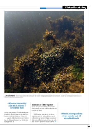 kystmagasinet-20230605_005_00_00_047.pdf