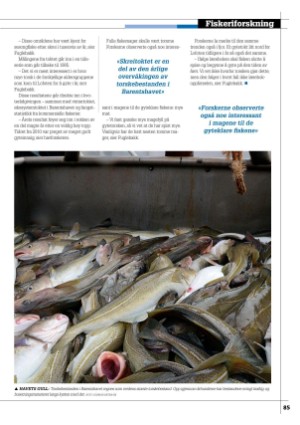kystmagasinet-20230710_006_00_00_085.pdf