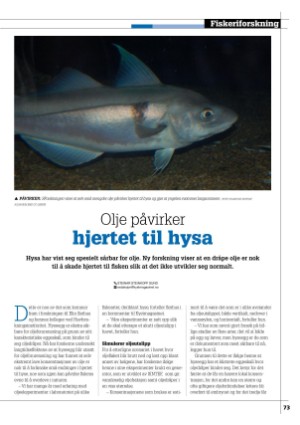 kystmagasinet-20230801_007_00_00_073.pdf