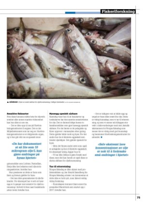 kystmagasinet-20230801_007_00_00_075.pdf