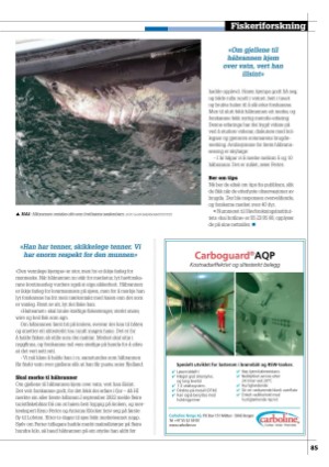 kystmagasinet-20230801_007_00_00_085.pdf