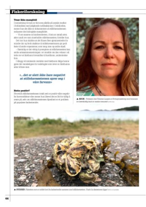 kystmagasinet-20231001_009_00_00_066.pdf