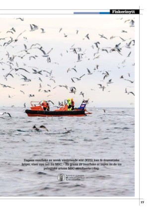 kystmagasinet-20231001_009_00_00_077.pdf