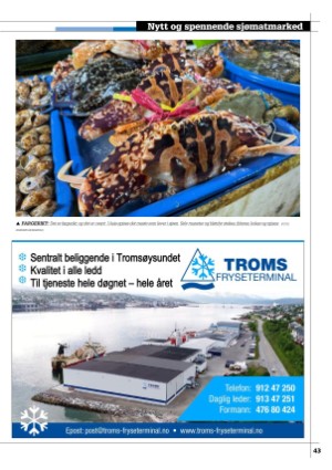 kystmagasinet-20231101_010_00_00_043.pdf