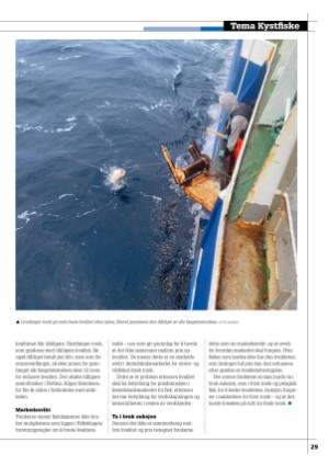 kystmagasinet-20240304_002_00_00_029.pdf