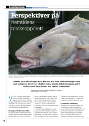 kystmagasinet-20240304_002_00_00_048.pdf
