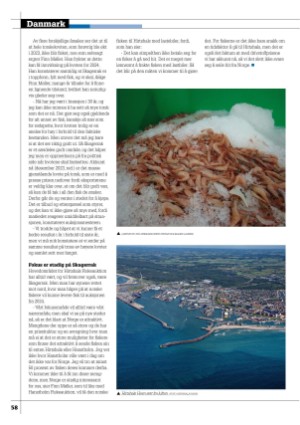 kystmagasinet-20240304_002_00_00_058.pdf