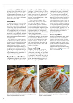kystmagasinet-20240528_005_00_00_040.pdf