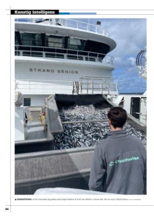 kystmagasinet-20240702_006_00_00_034.pdf