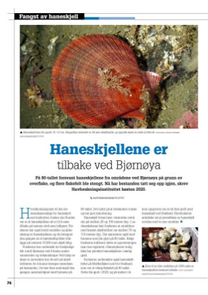 kystmagasinet-20240702_006_00_00_076.pdf