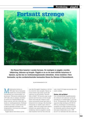 kystmagasinet-20240702_006_00_00_163.pdf