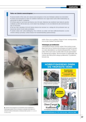 kystmagasinet-20241111_009_00_00_037.pdf