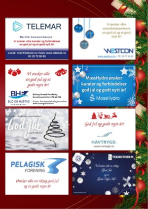 kystmagasinet-20241216_010_00_00_041.pdf