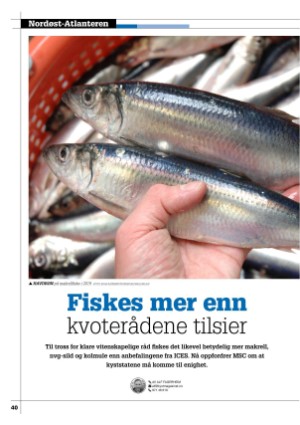 kystmagasinet-20250311_002_00_00_040.pdf