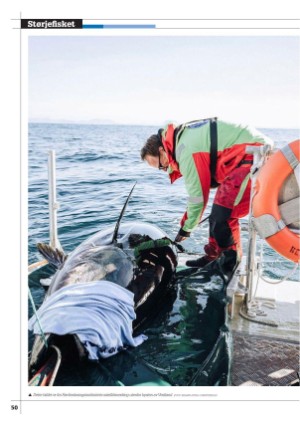 kystmagasinet-20250413_003_00_00_050.pdf