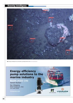 kystmagasinet-20250526_004_00_00_044.pdf