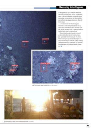 kystmagasinet-20250526_004_00_00_045.pdf