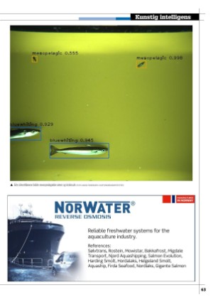 kystmagasinet-20250702_005_00_00_063.pdf