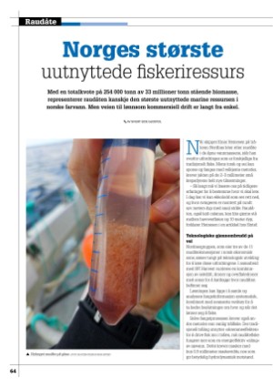 kystmagasinet-20250702_005_00_00_064.pdf