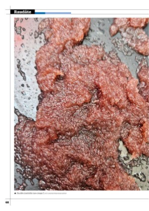 kystmagasinet-20250702_005_00_00_068.pdf
