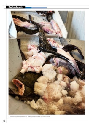 kystmagasinet-20251023_008_00_00_072.pdf