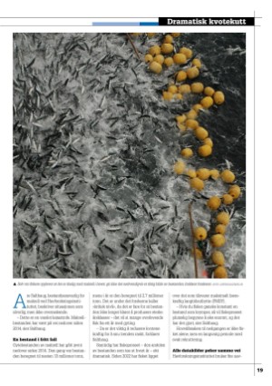 kystmagasinet-20251124_009_00_00_019.pdf