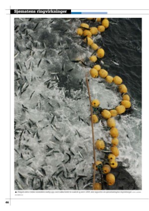 kystmagasinet-20251222_010_00_00_046.pdf