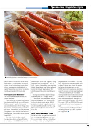 kystmagasinet-20251222_010_00_00_053.pdf