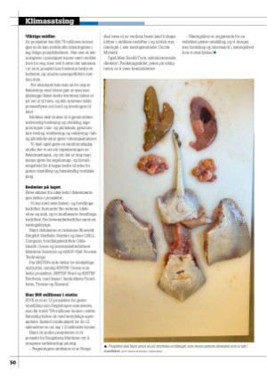 kystmagasinet-20260105_001_00_00_050.pdf