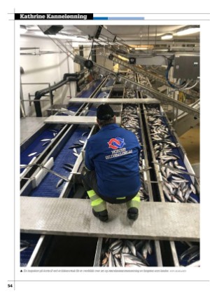 kystmagasinet-20260105_001_00_00_054.pdf