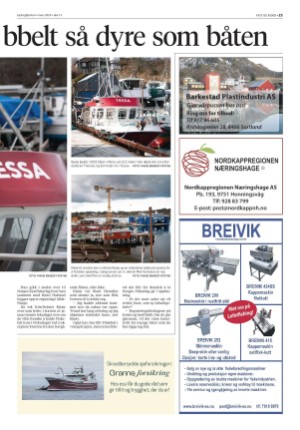 kystogfjord-20250319_000_00_00_025.pdf