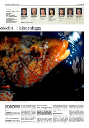 kystogfjord-20250827_000_00_00_003.pdf