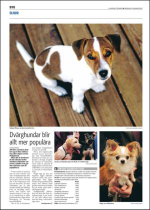 laholmstidning_b-20130109_000_00_00_010.pdf