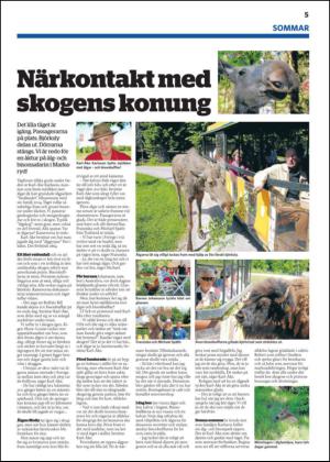 laholmstidning_b-20130718_000_00_00_005.pdf